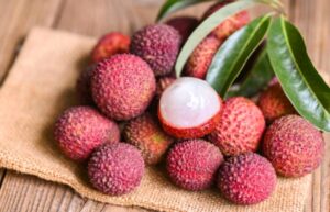 Litchi in rainy season